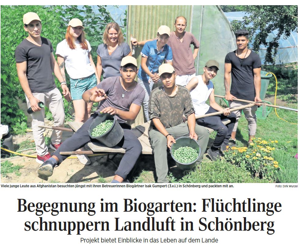 Presseartikel: Begegnung im Biogarten - Flüchtlinge schnuppern Landluft in Schönberg